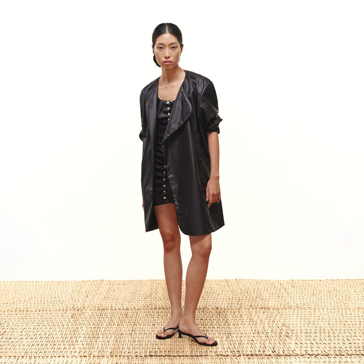SABLE DRESS